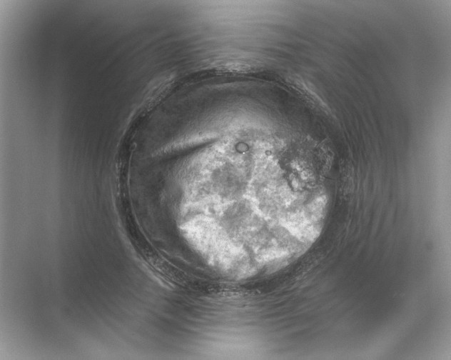 X0000071760738200607220009