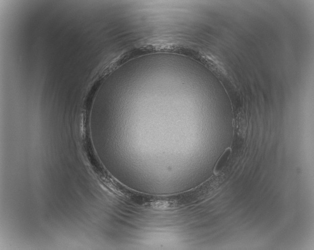 X0000071760740200607220009