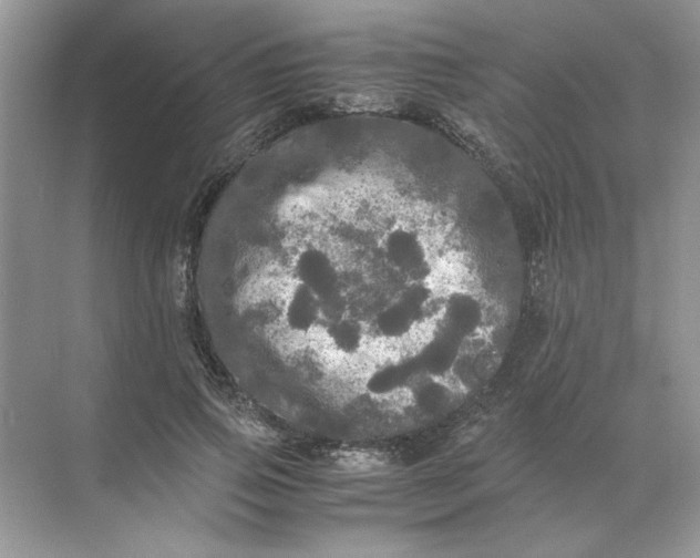 X0000071760741200607220009