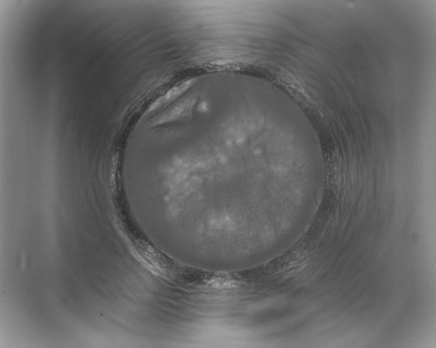 X0000071760742200607220009