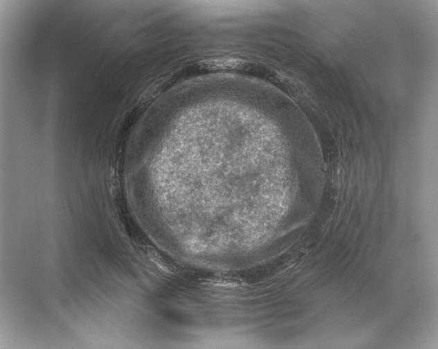 X0000071760743200607220009