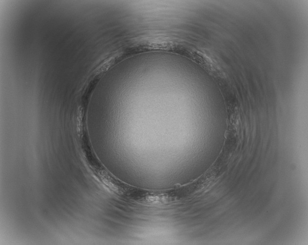 X0000071760744200607220009