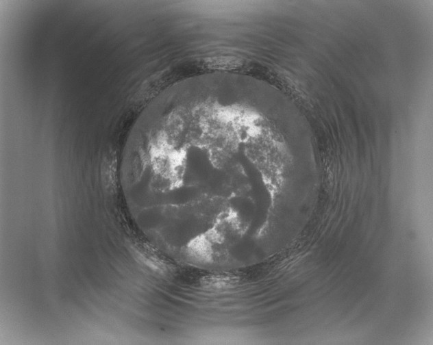 X0000071760745200607220009