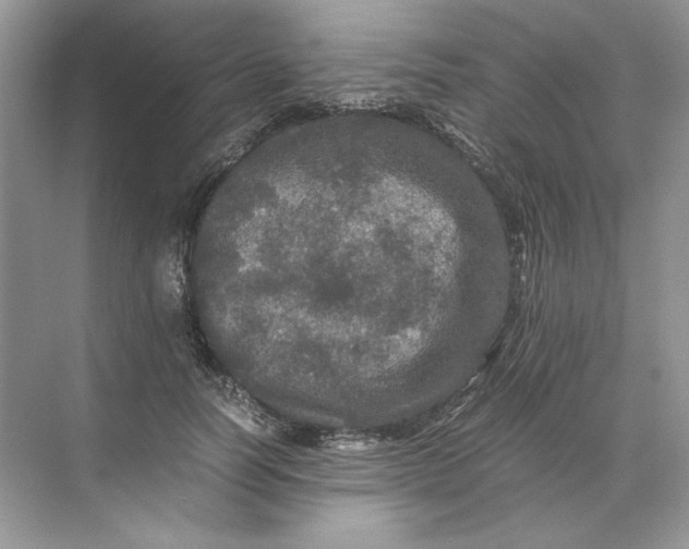 X0000071760746200607220009