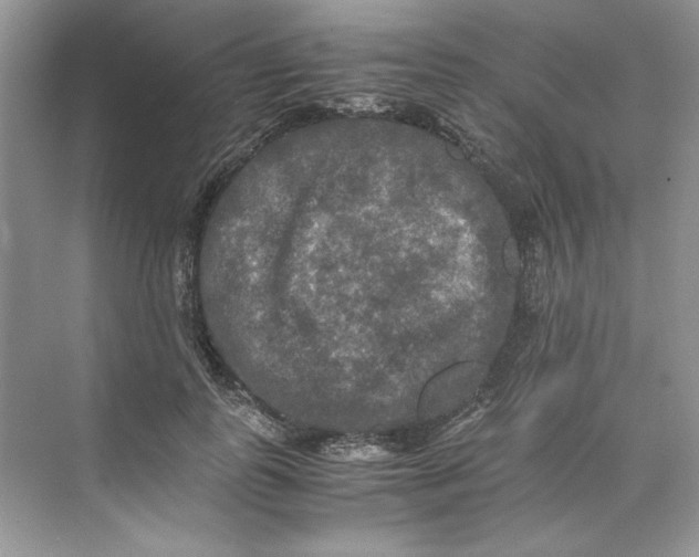 X0000071760747200607220009