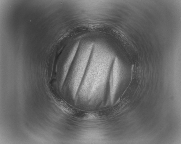 X0000071760750200607220009