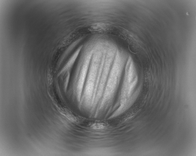 X0000071760751200607220009