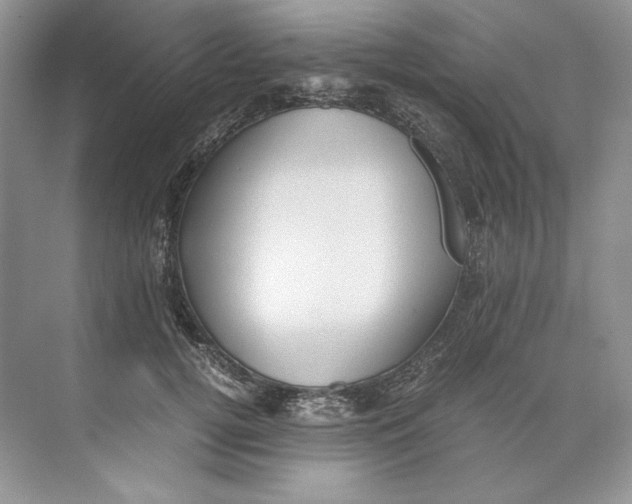 X0000071760752200607220009