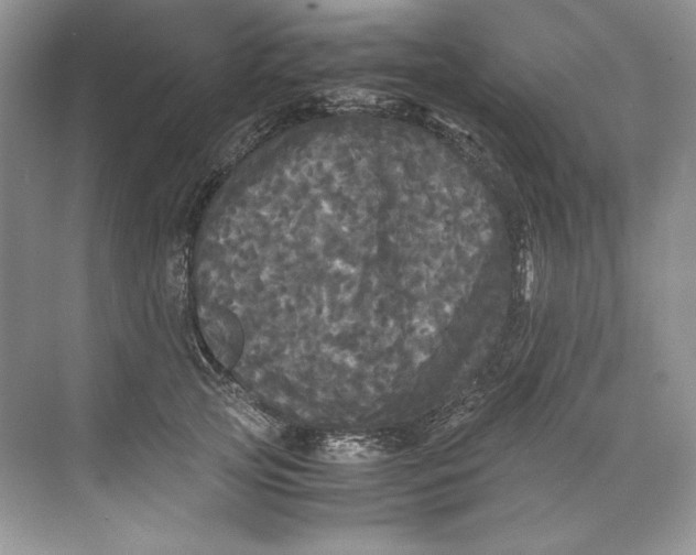 X0000071760753200607220009