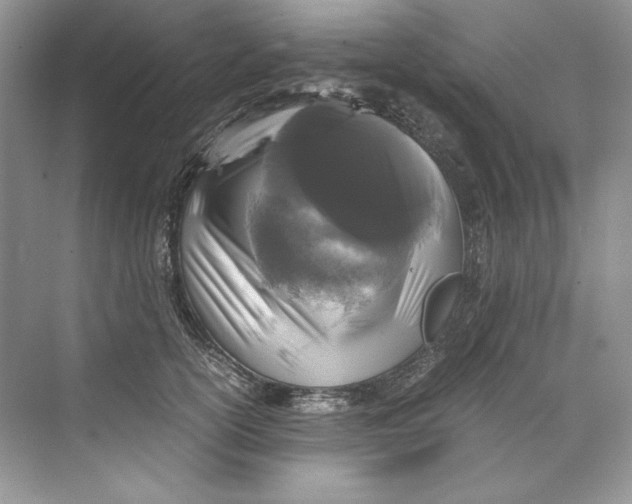 X0000071760754200607220009