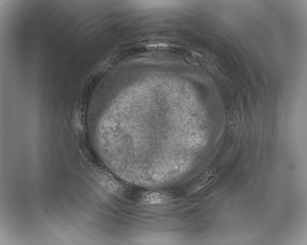 X0000071760755200607220009