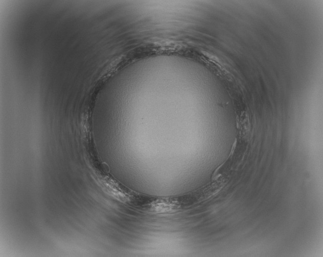 X0000071760756200607220009