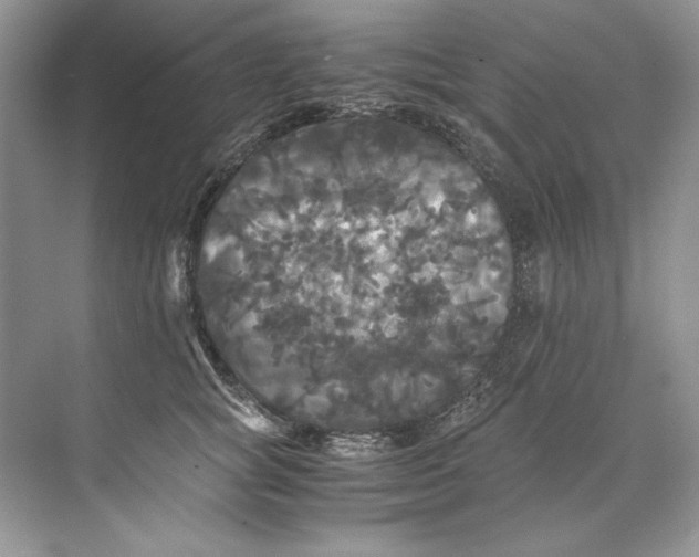 X0000071760757200607220009