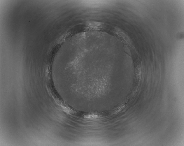 X0000071760759200607220009