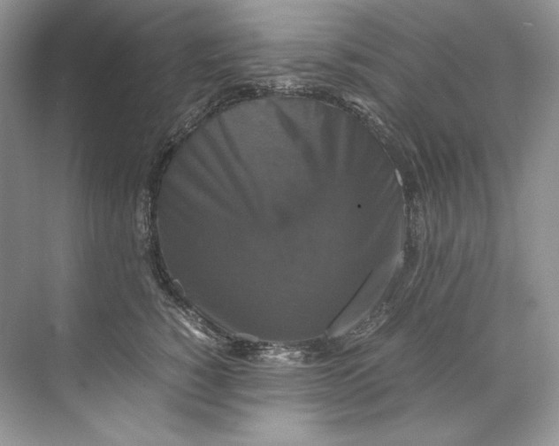 X0000071760760200607220009