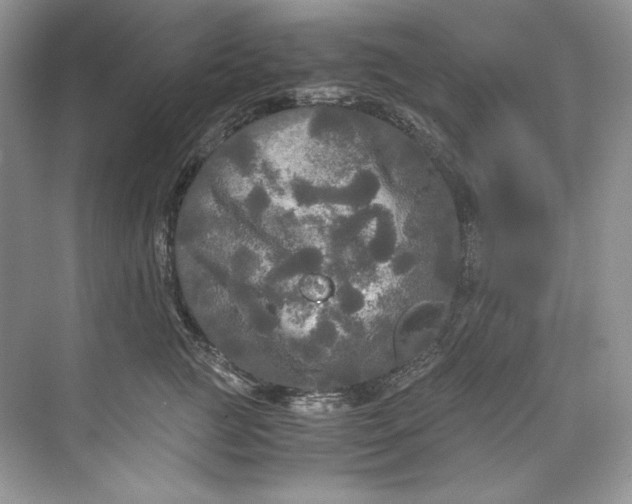 X0000071760761200607220009