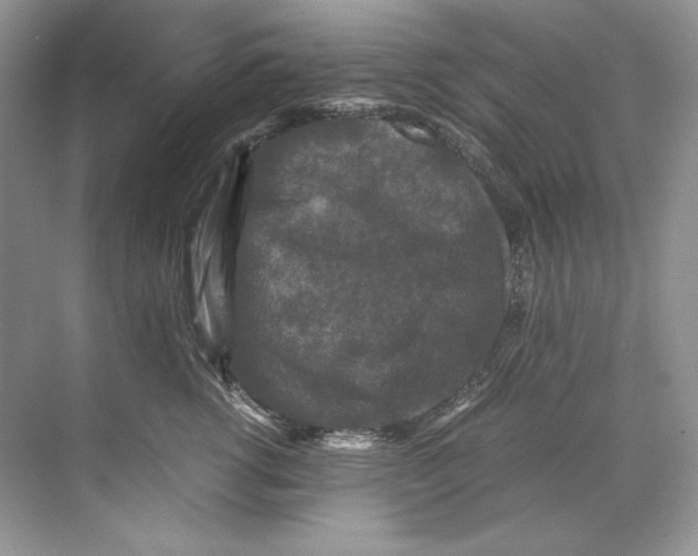 X0000071760762200607220009