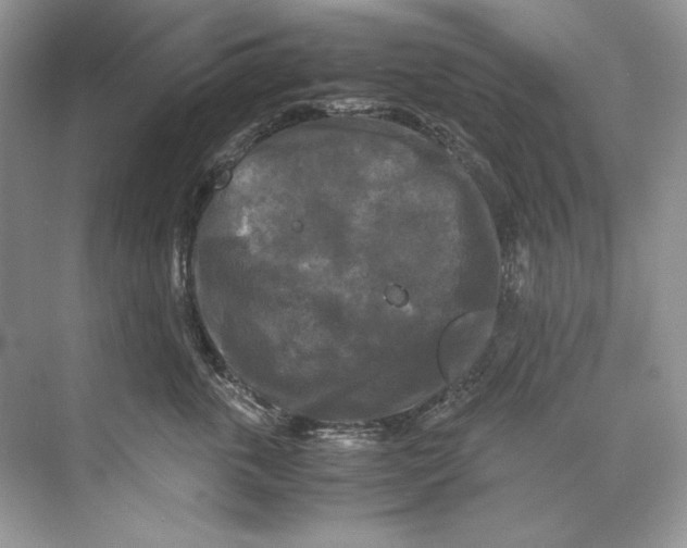 X0000071760763200607220009