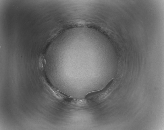 X0000071760768200607220010