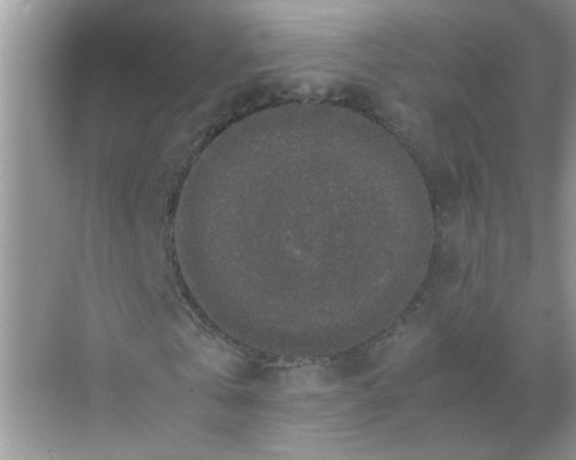 X0000071760769200607220009