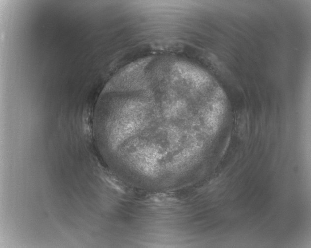 X0000071760770200607220009