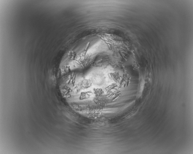 X0000071760771200607220009