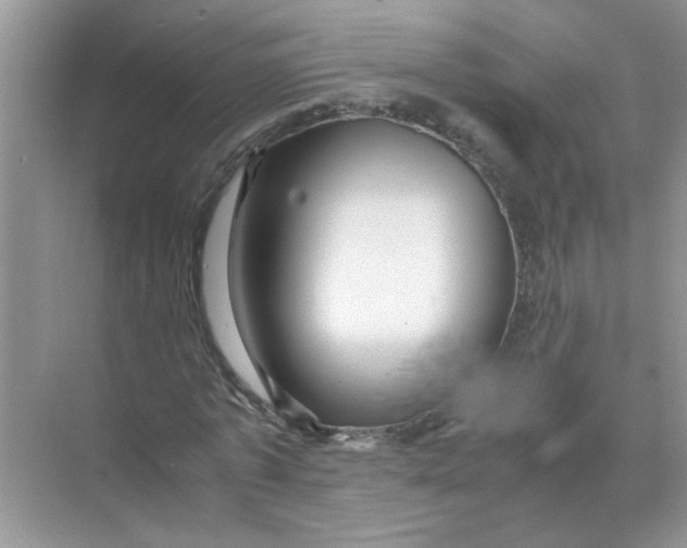 X0000071760773200607220009