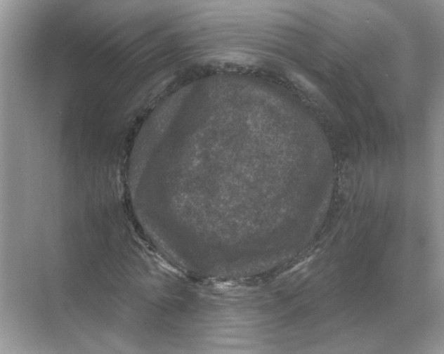 X0000071760774200607220009