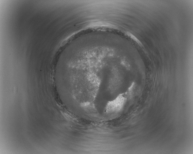 X0000071760775200607220009