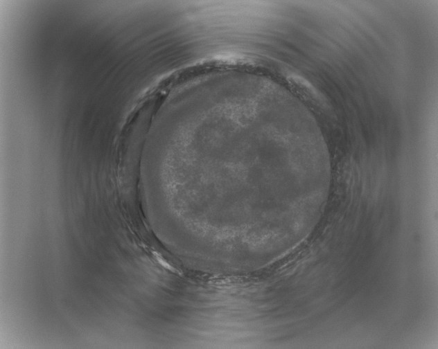 X0000071760776200607220009