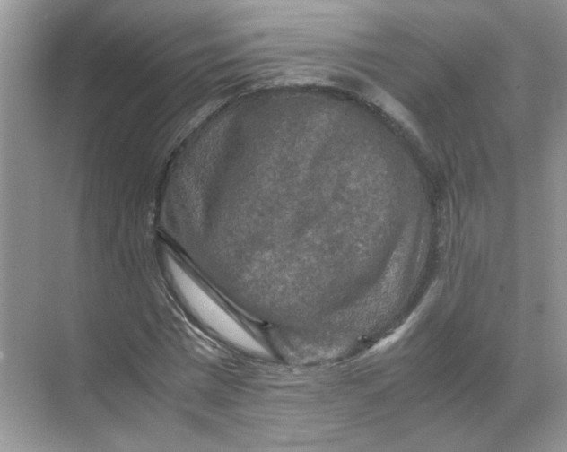 X0000071760777200607220009