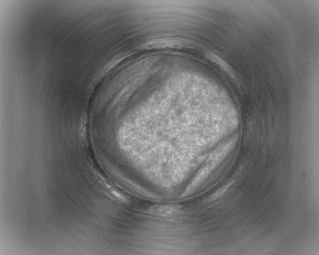 X0000071760778200607220009