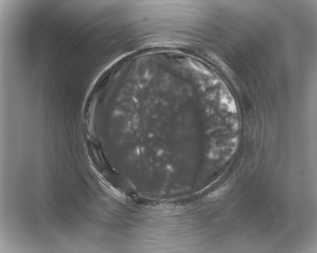 X0000071760779200607220009