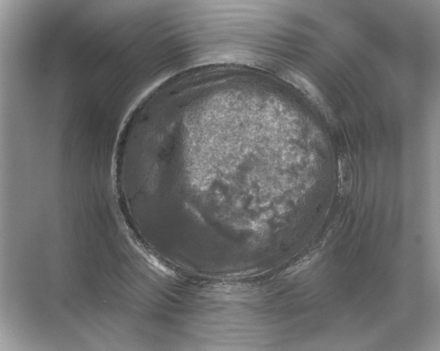 X0000071760780200607220009