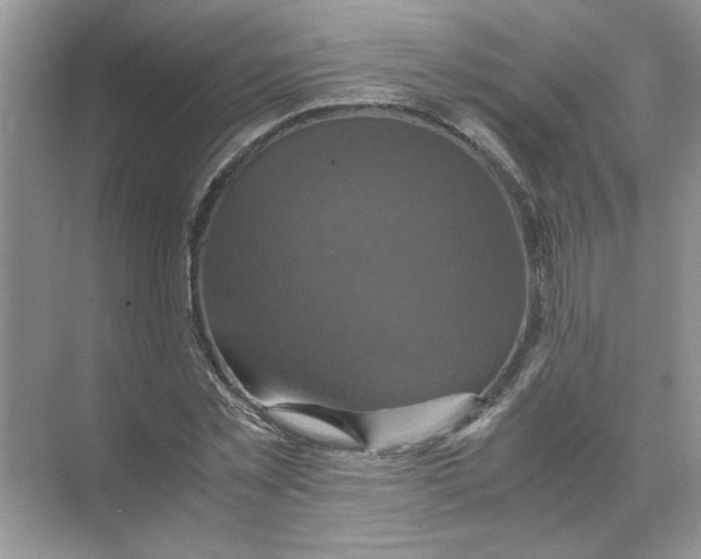 X0000071760781200607220009