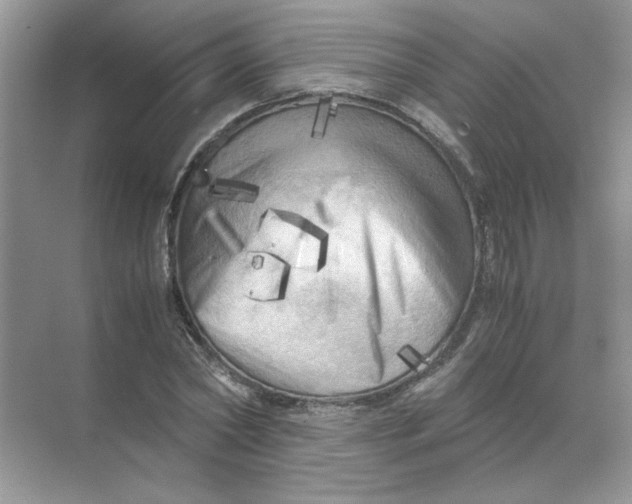 X0000071760782200607220008