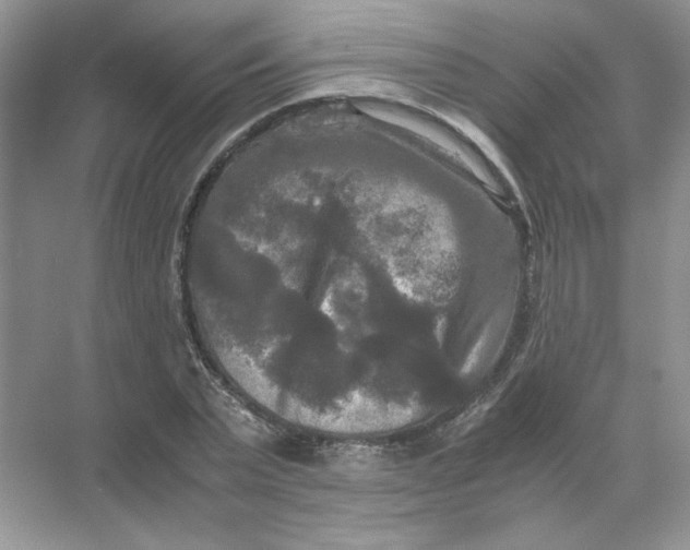 X0000071760783200607220008