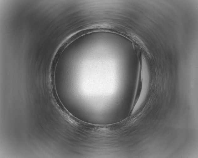 X0000071760784200607220008