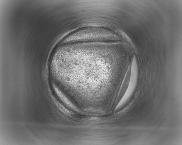 X0000071760787200607220008