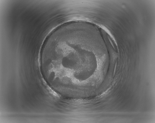 X0000071760791200607220008