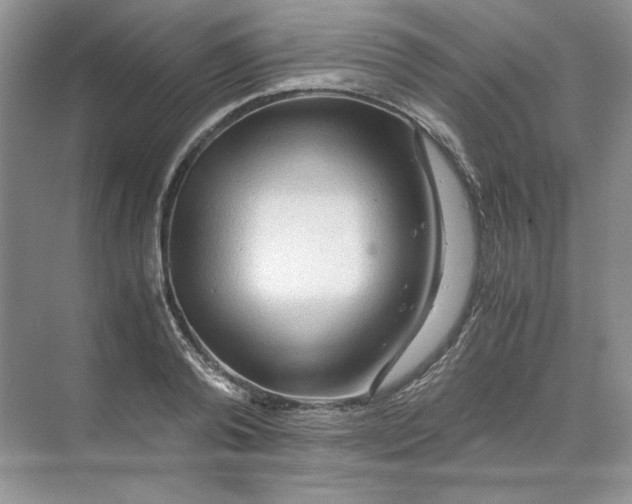 X0000071760792200607220008