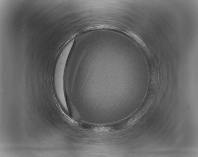 X0000071760793200607220008