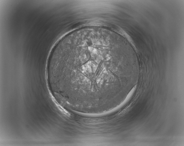 X0000071760795200607220008