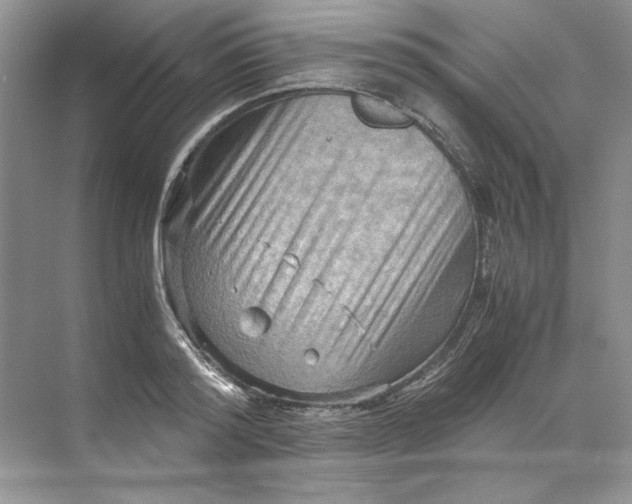 X0000071760796200607220008