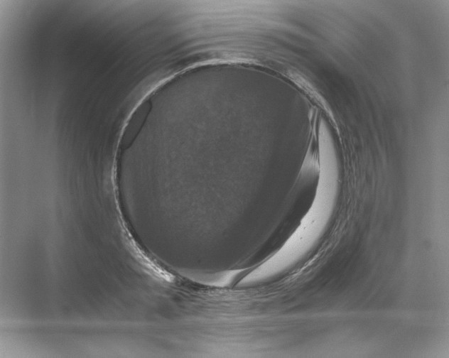 X0000071760797200607220008