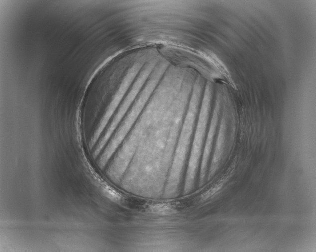 X0000071760798200607220008