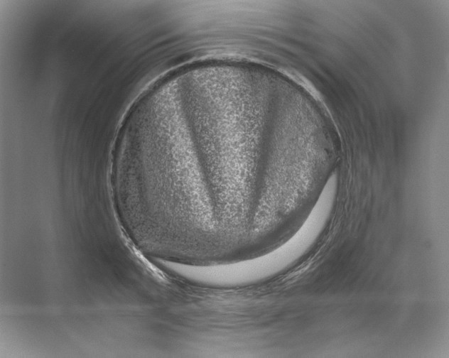 X0000071760799200607220008