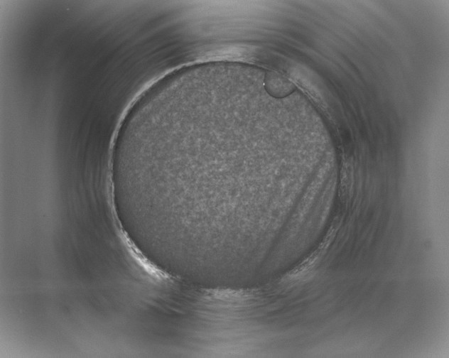 X0000071760800200607220008