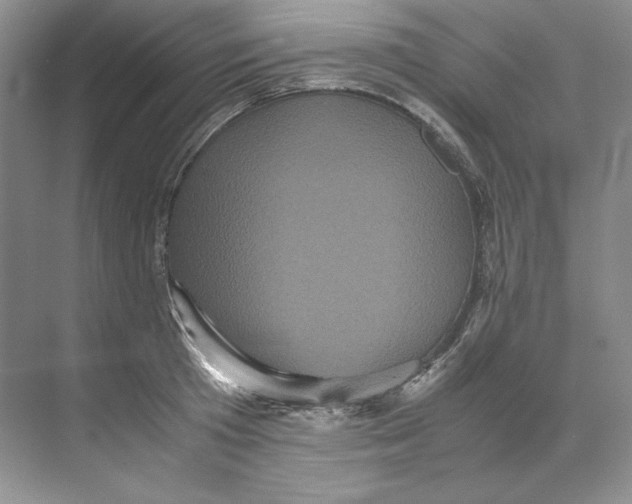 X0000071760801200607220008