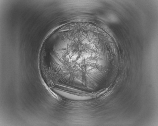 X0000071760803200607220008